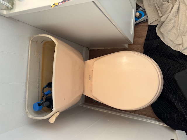 Toilet Repair in Downers Grove, IL